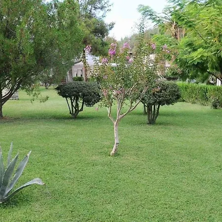 Pam Thermal Clinic & Resort 5*