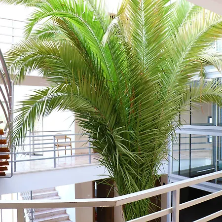 Pam Thermal Clinic &