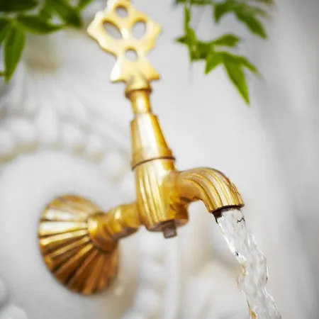 Pam Thermal Clinic & Resort