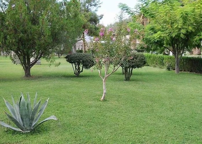 Pam Thermal Clinic & Resort 5*